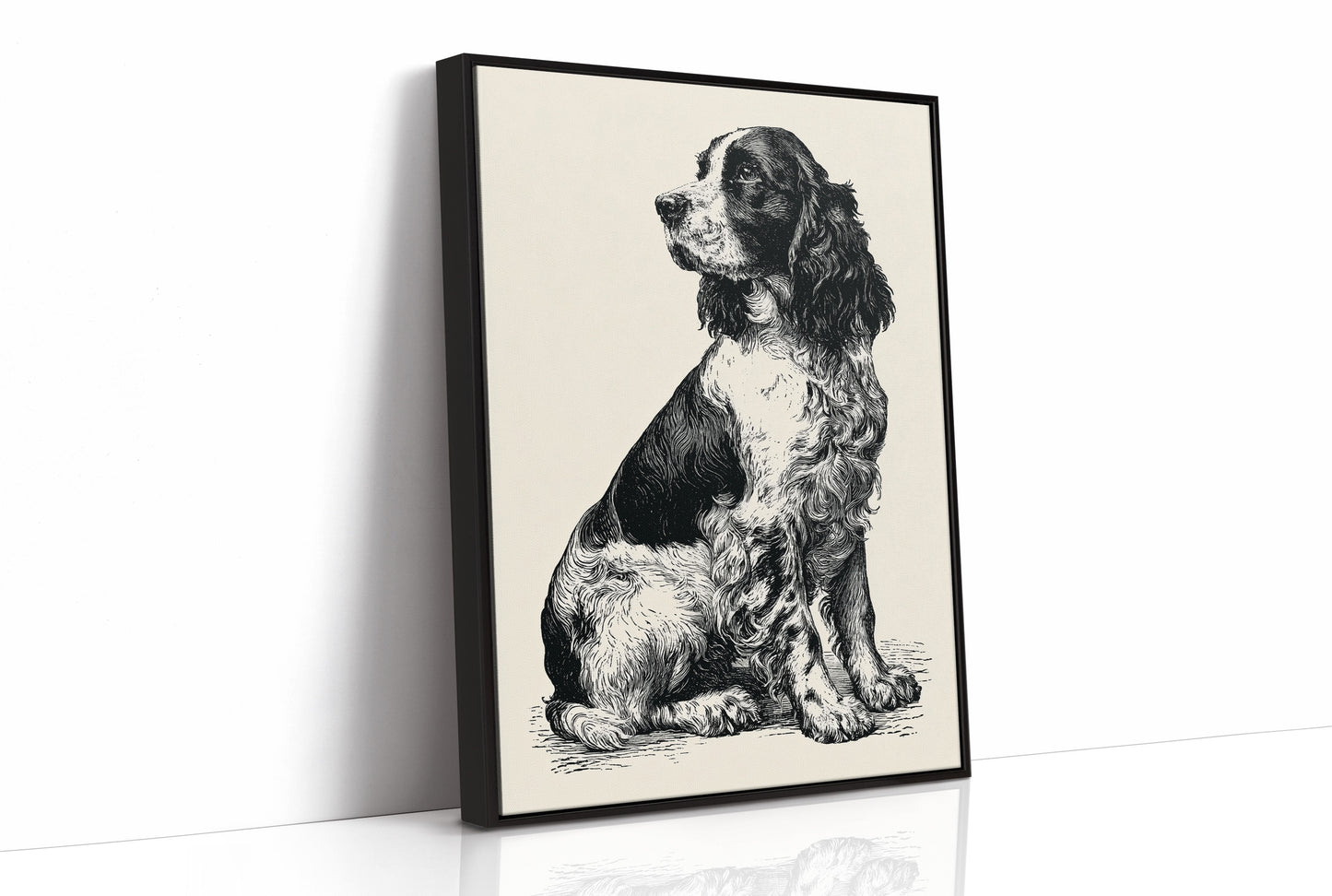 The Springer's Quiet Profile