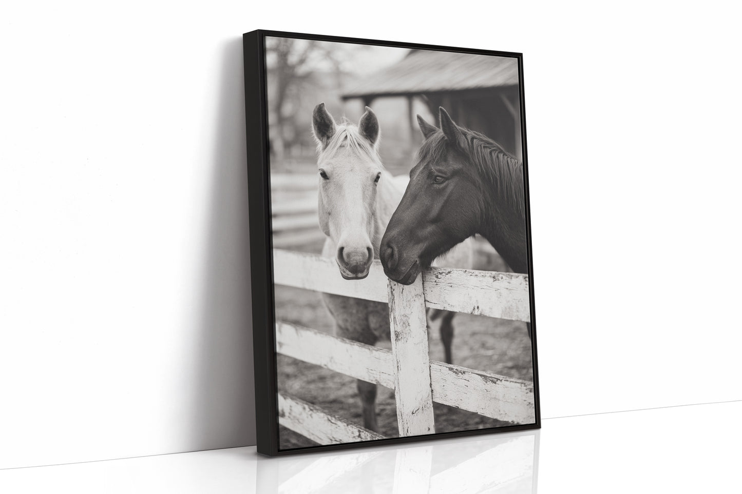 Old Friends at the Fence