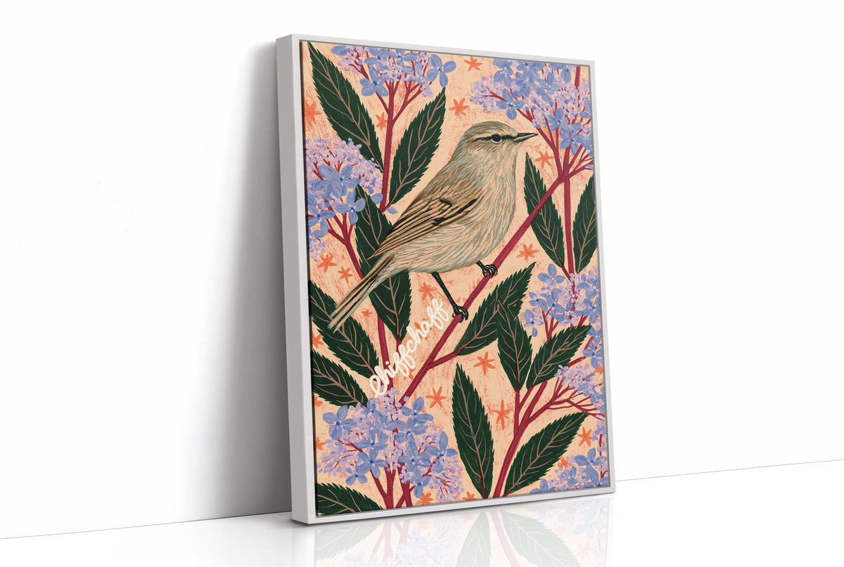 Chiffchaff on a Pink Sprig