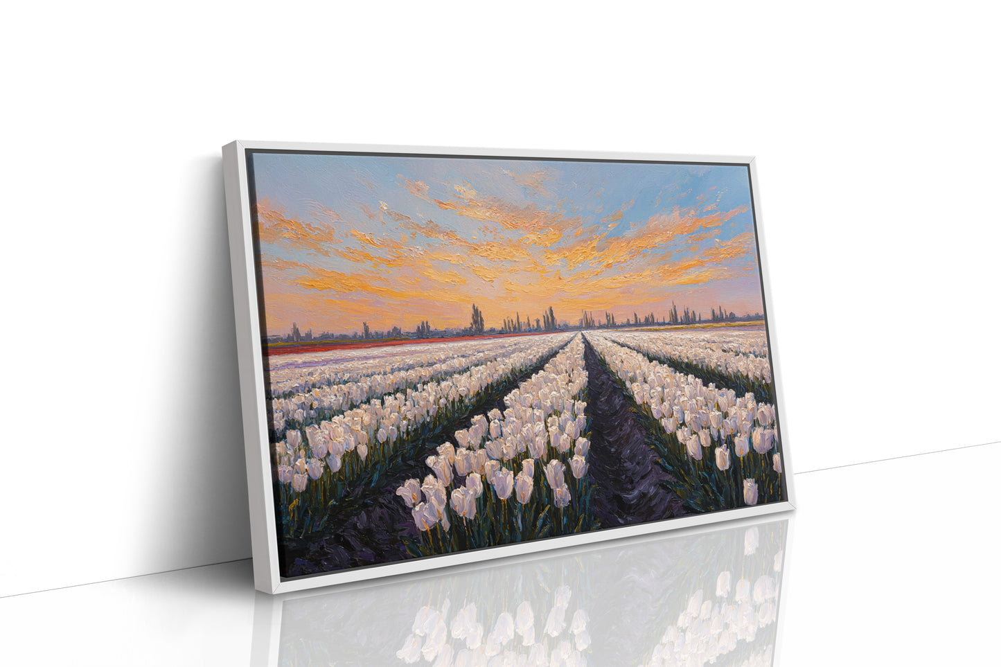 Fields of Light and Bloom