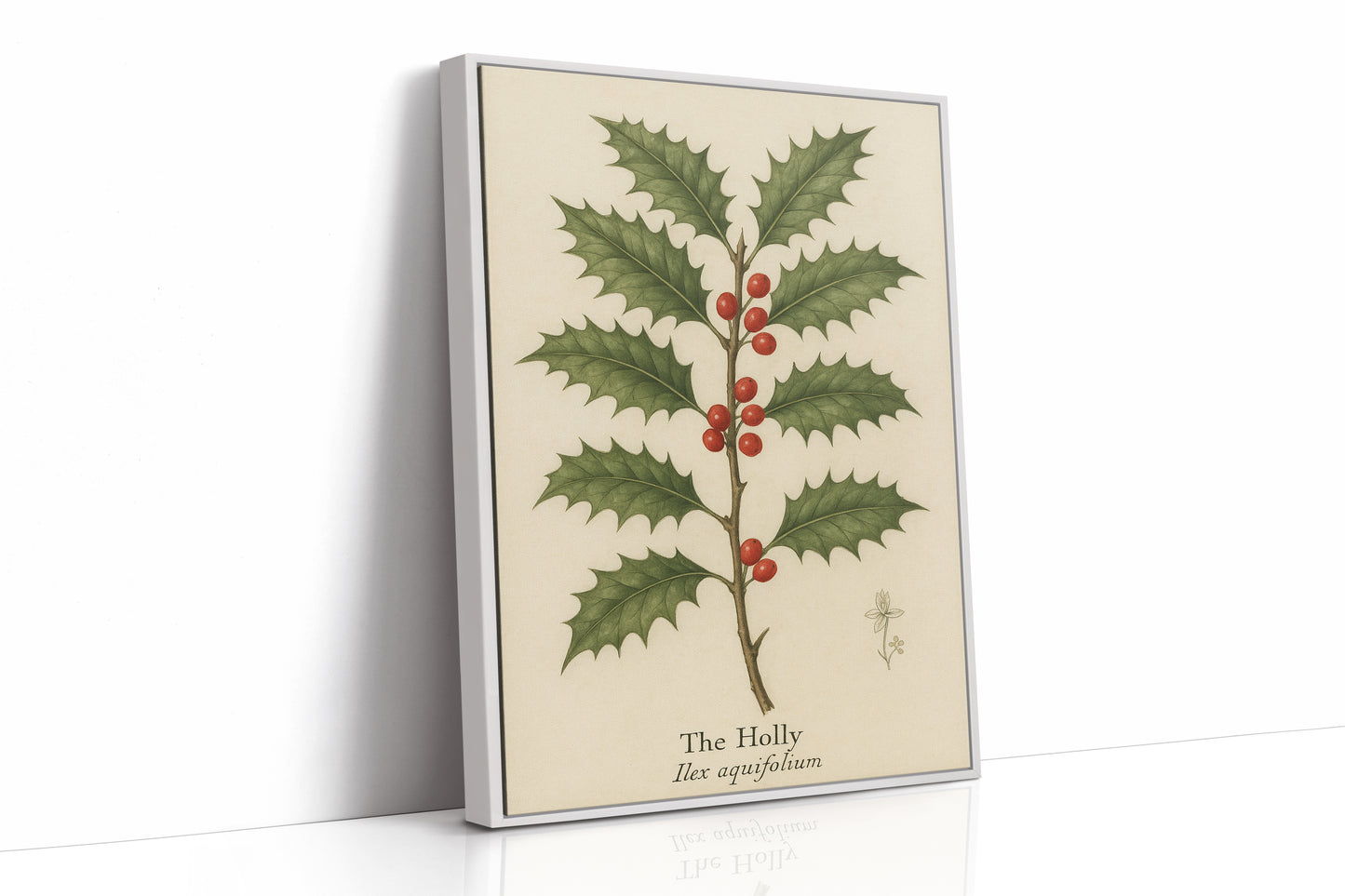 The Holly Botanical Art Print