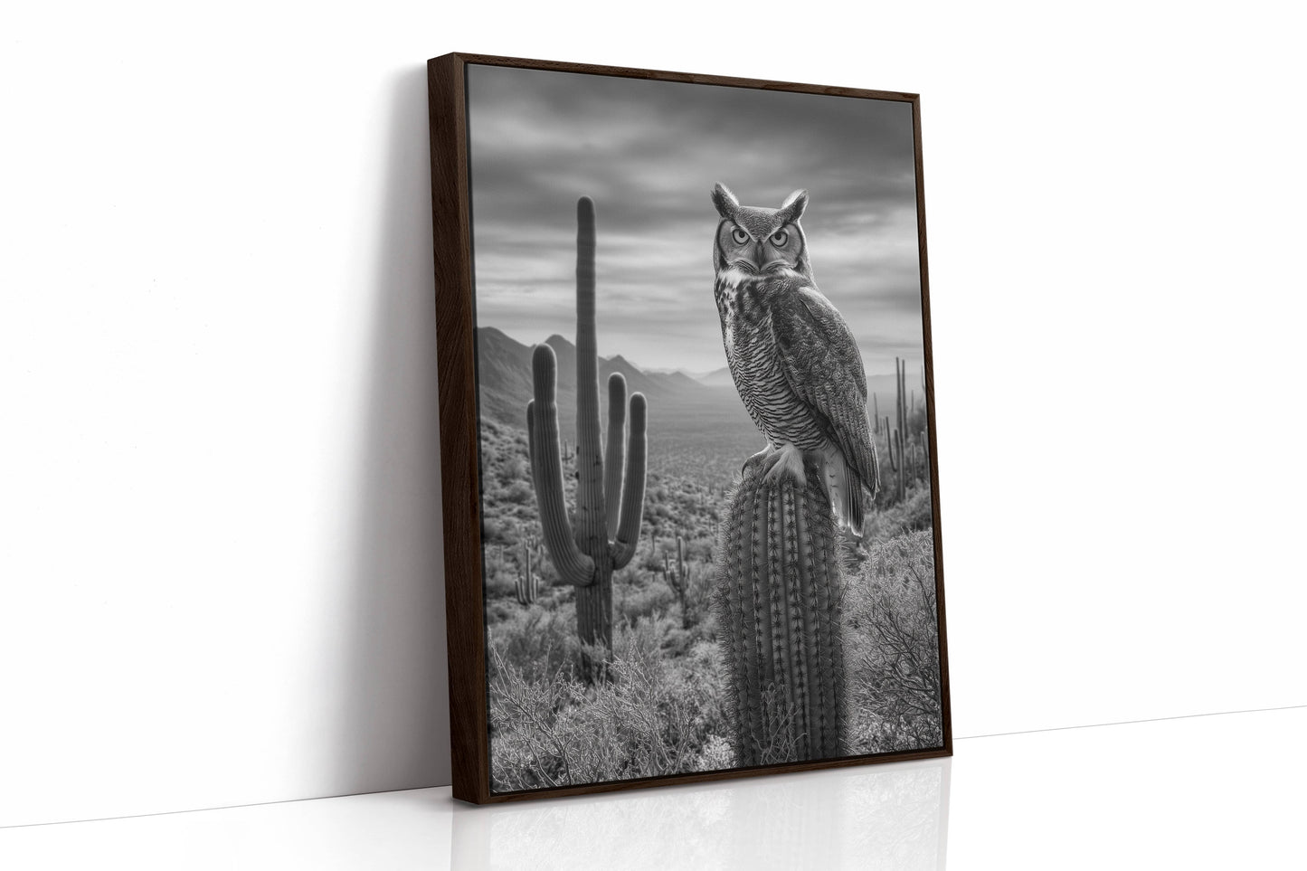 Night Watch Over Saguaro Plains