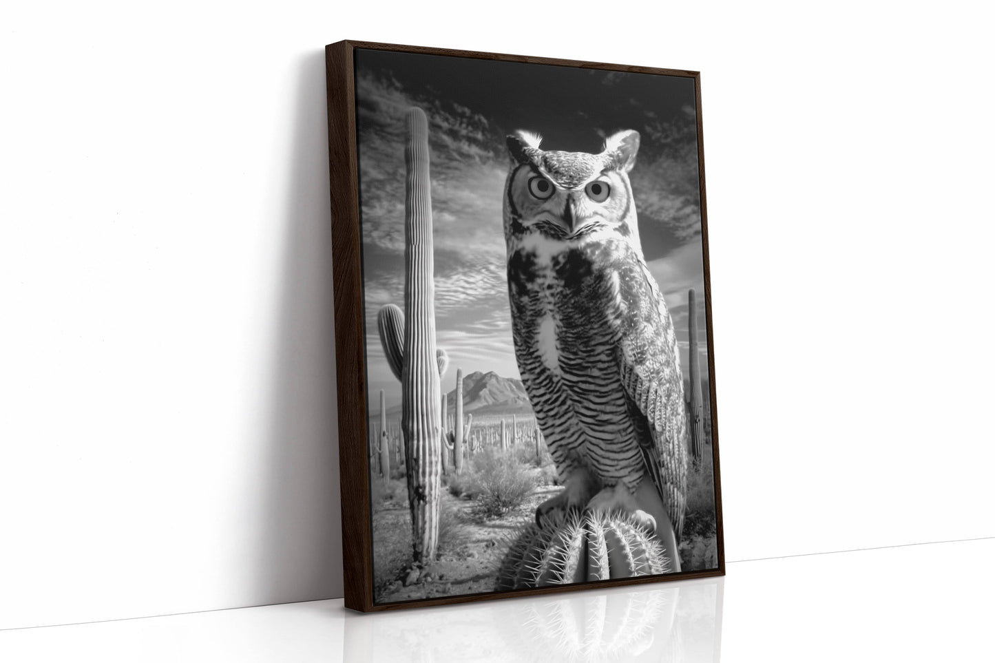 Saguaro Nights Watch The Owl