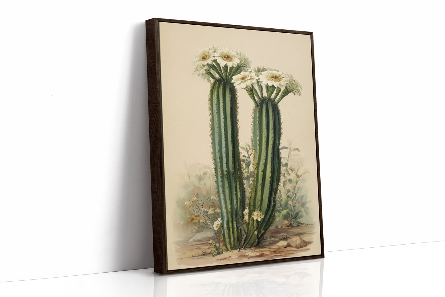 Saguaro Stories Light Desert Memories