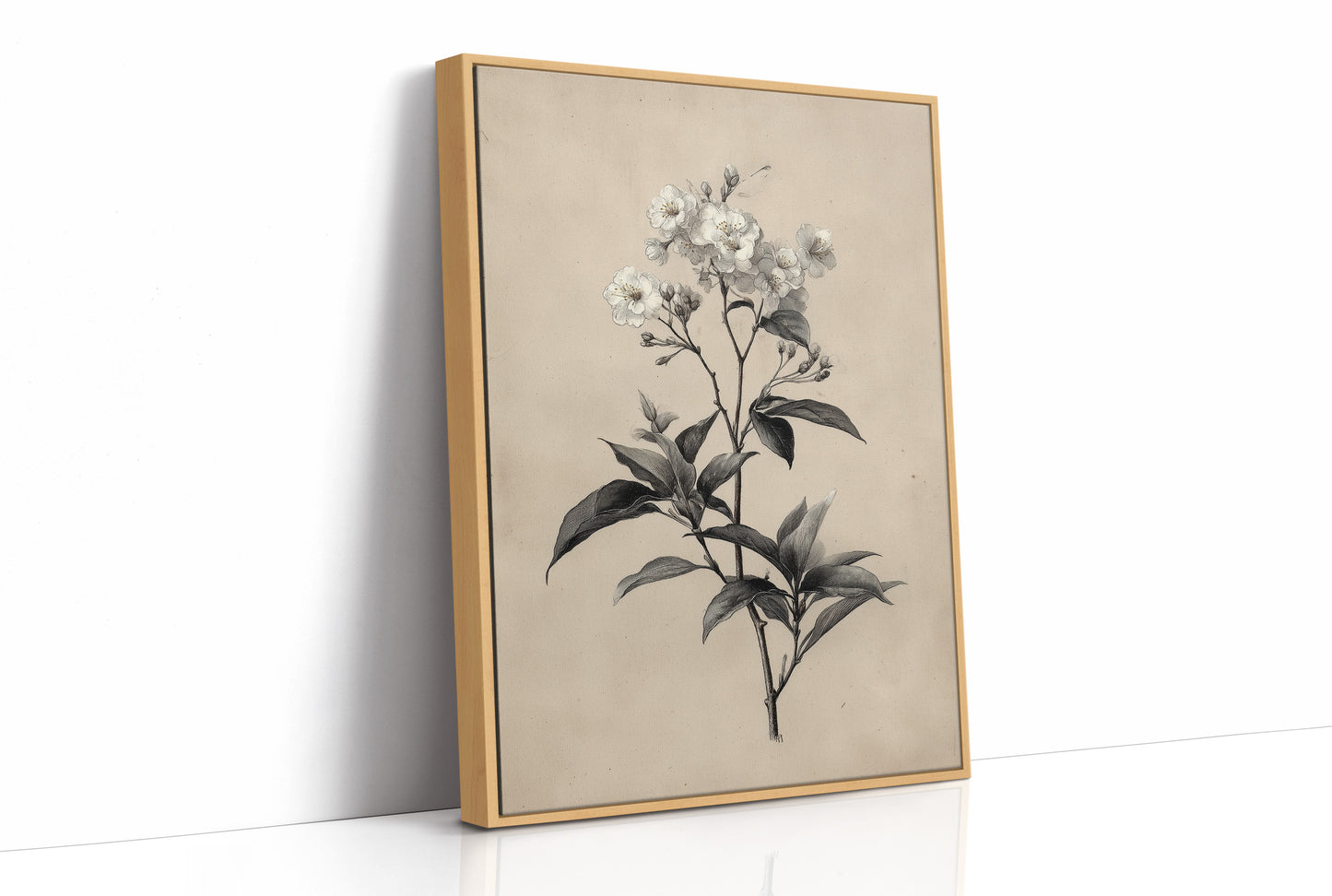 Drawn the Morning It Bloomed