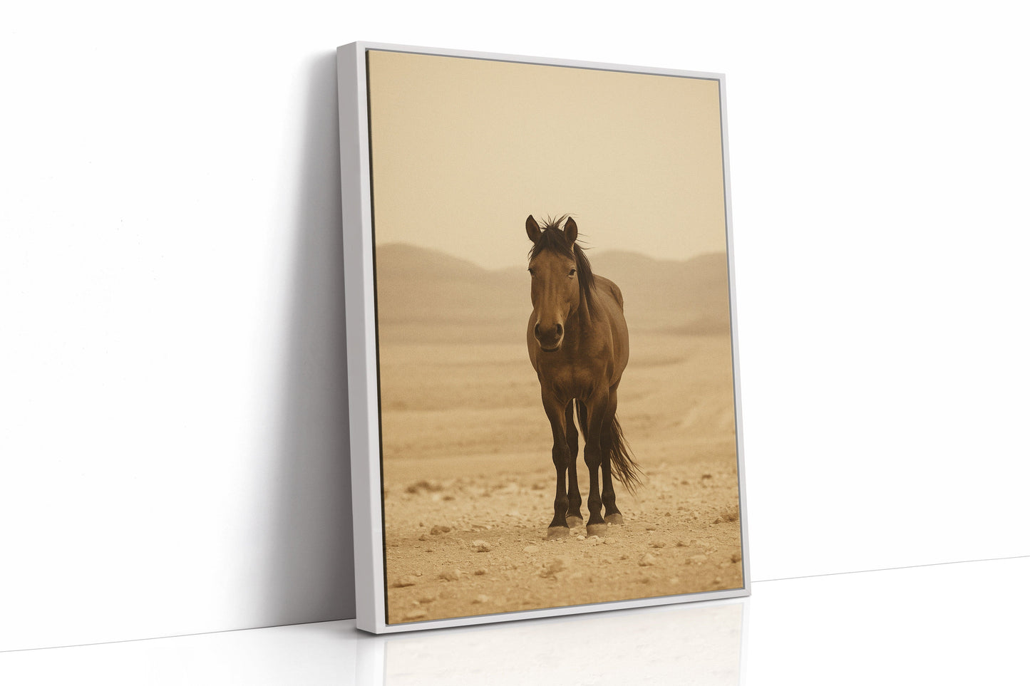 Lone Desert Mustang