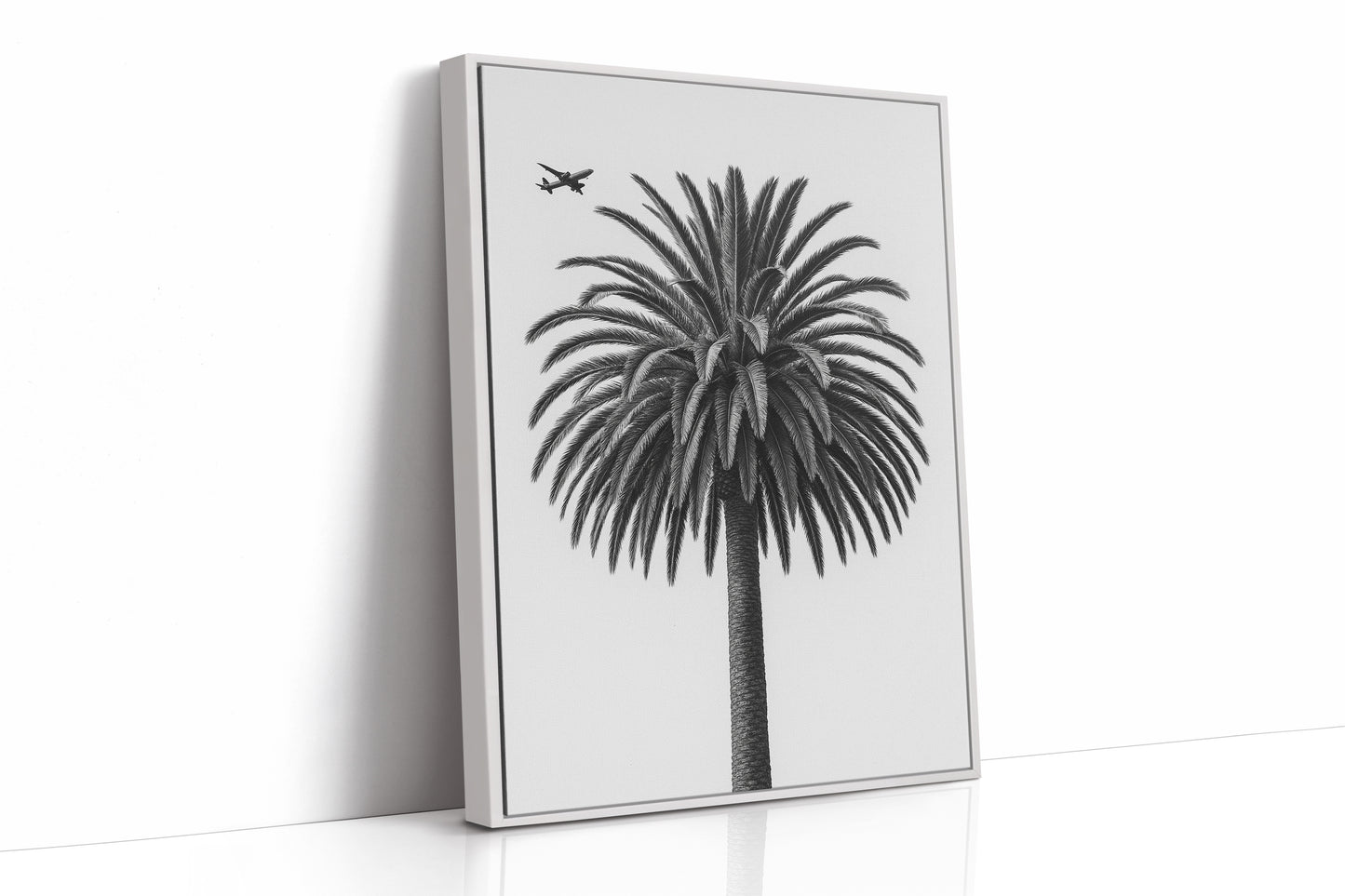 Palm Crown and Passing Plane