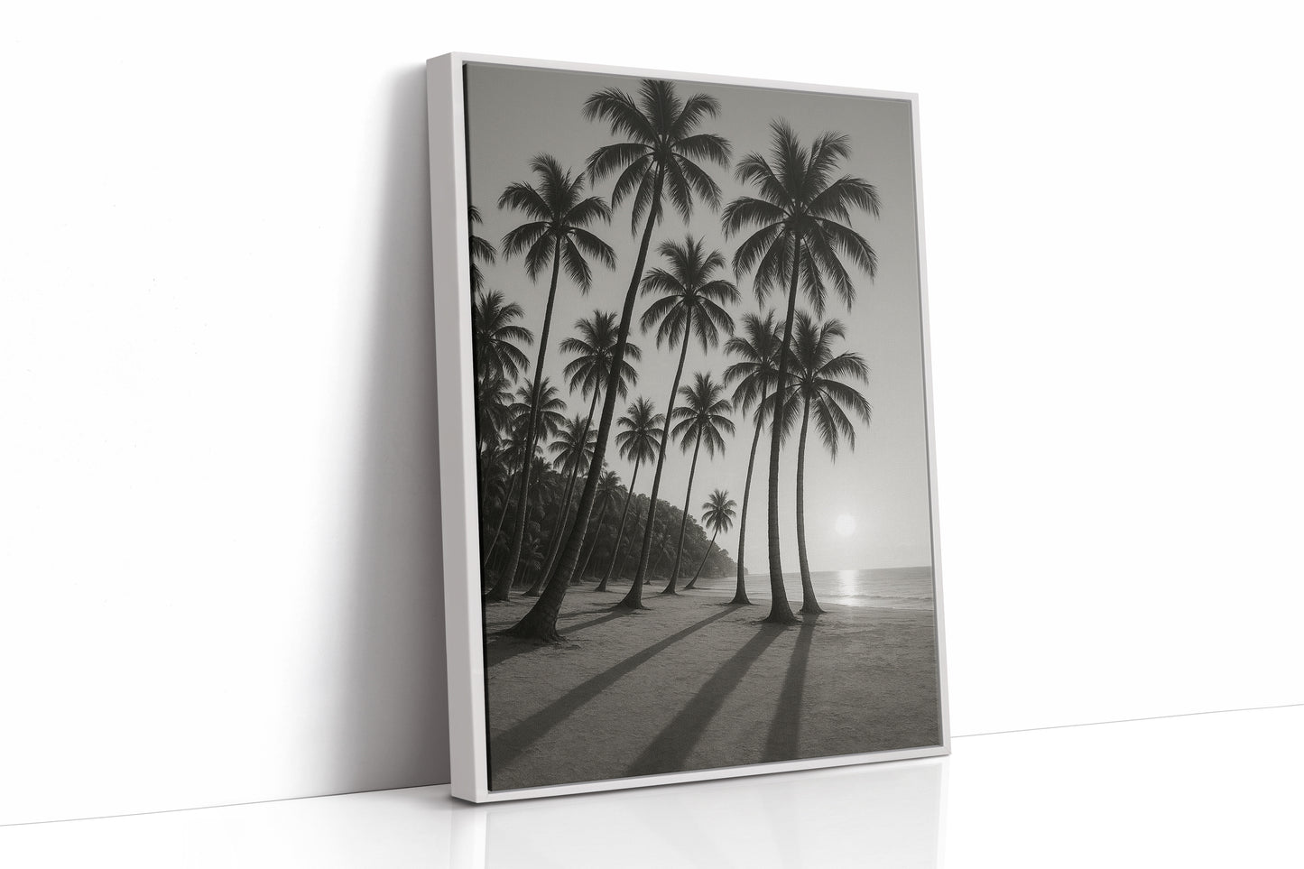 Palm Shadows at Sunrise