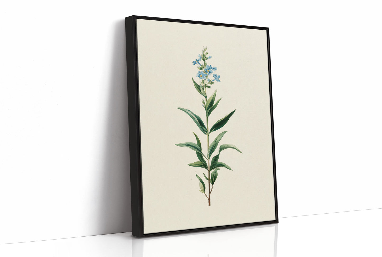 Azure Elegance: Botanical Study of Forget-Me-Not