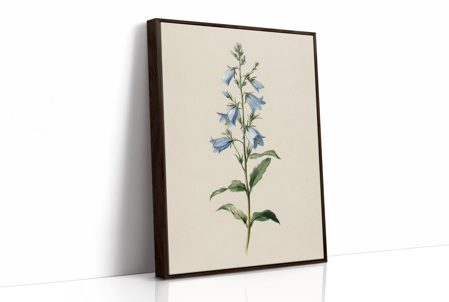 Botanical Elegance: Bellflower's Delicate Symphony