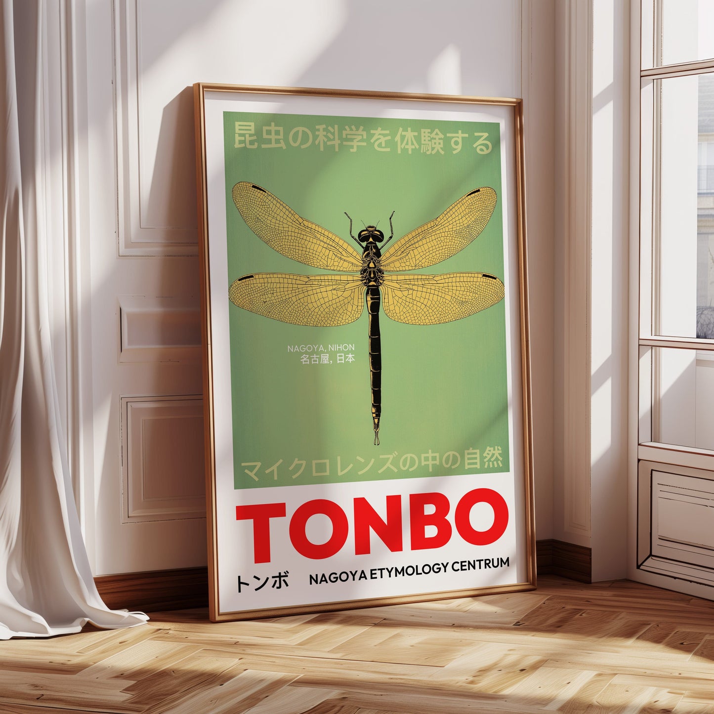 Tonbo – The Science of Dragonflies