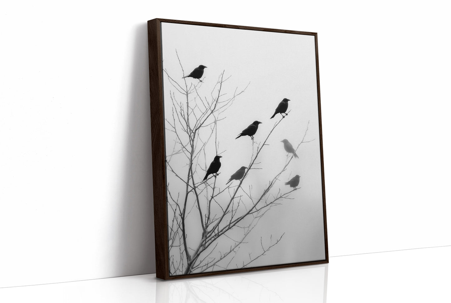 Ravens Perch On Winter Branches