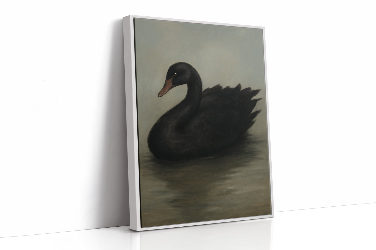 Black Swan on Still Water