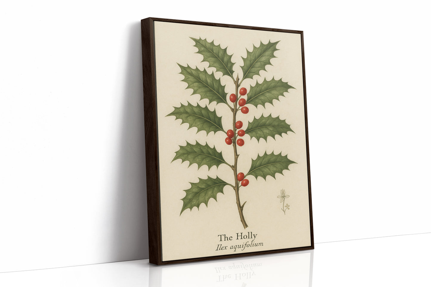 The Holly Botanical Art Print