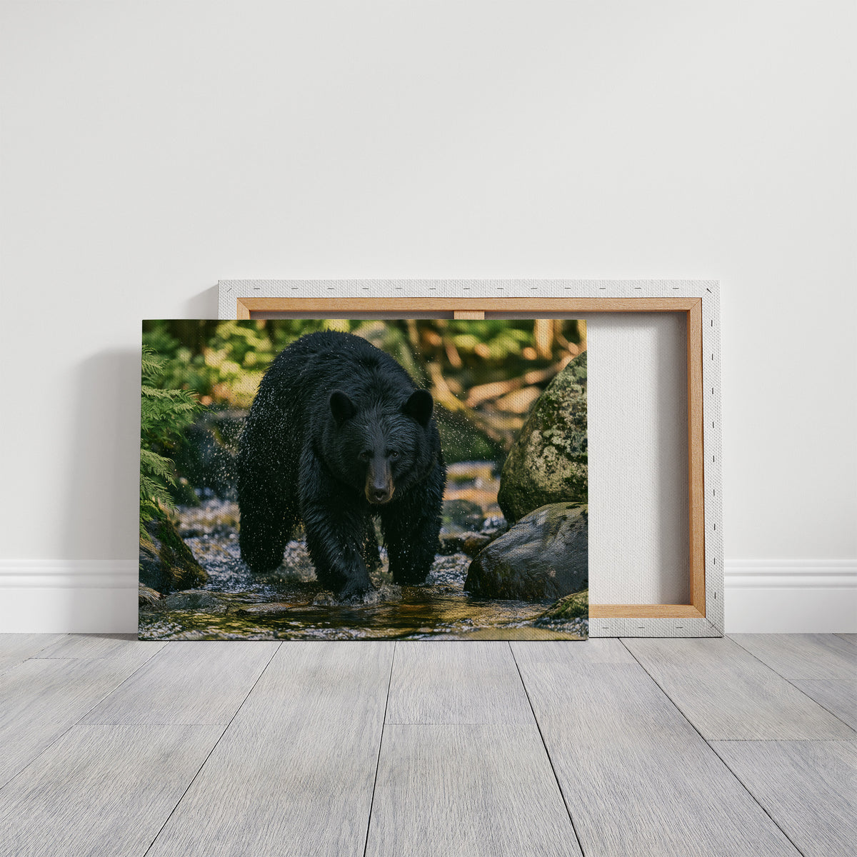 Black Bear at the Water's Edge