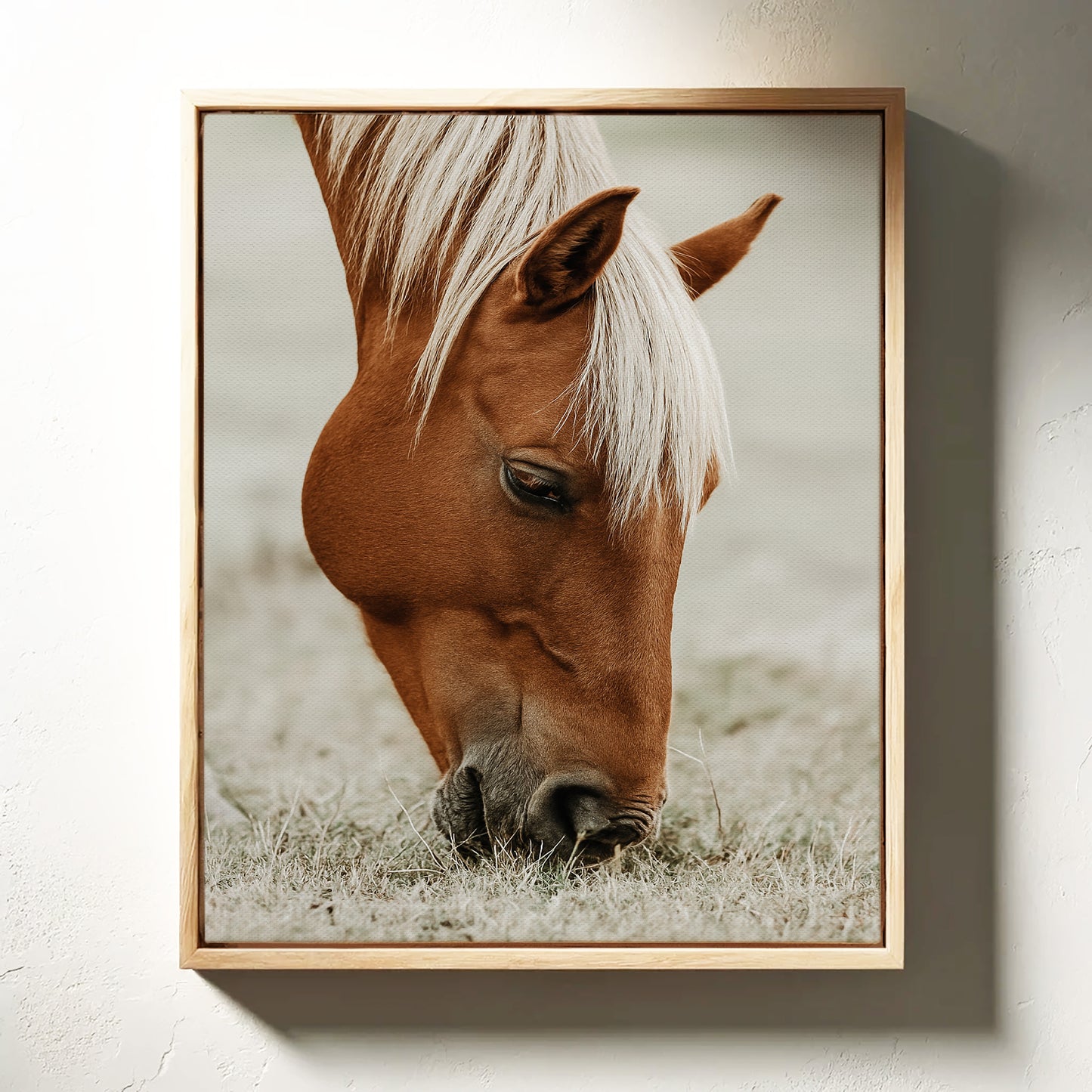 Quiet Morning Graze with Golden Mane