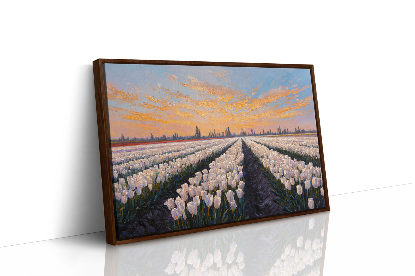 Fields of Light and Bloom