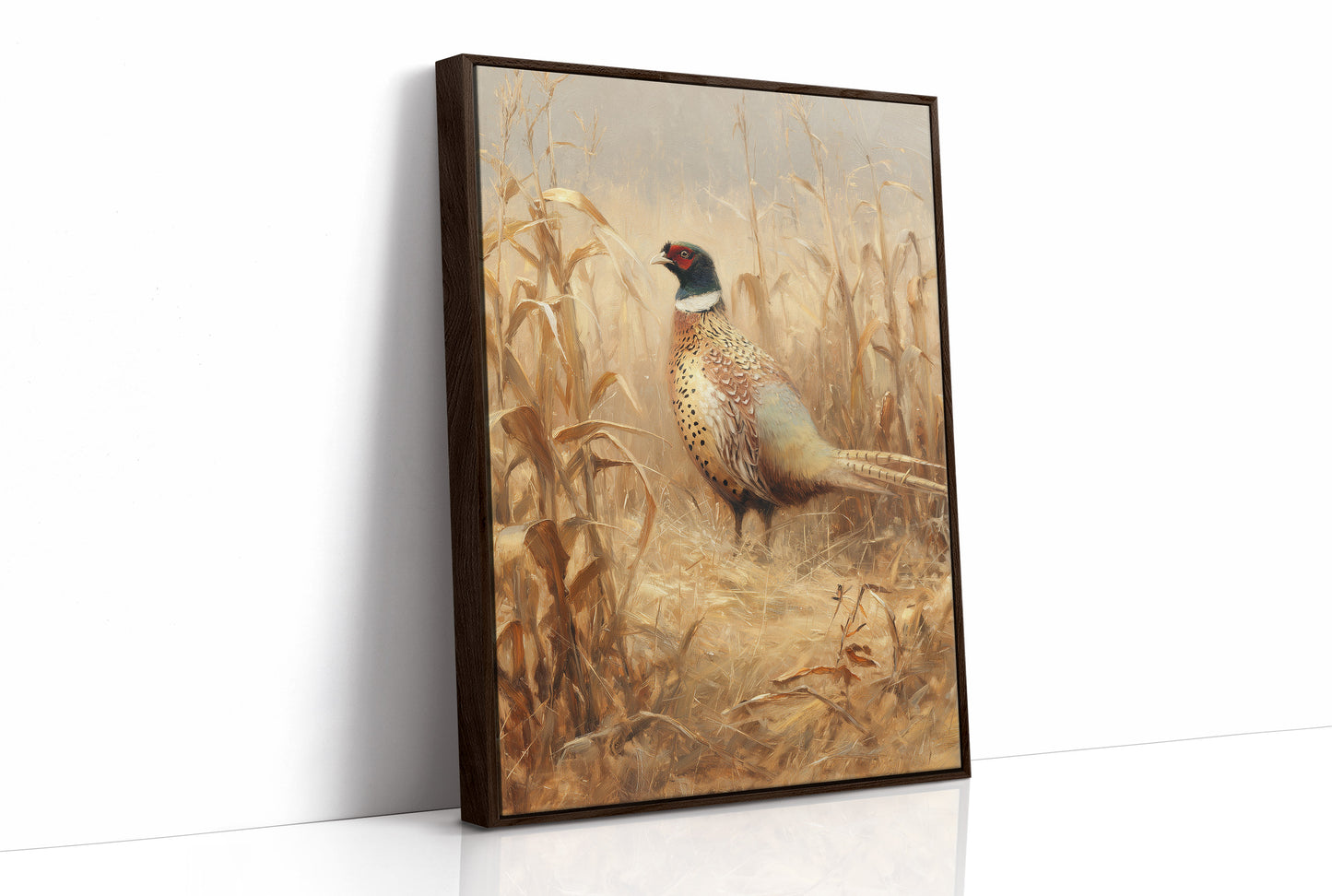 Pheasant Stands Among Golden Stalks