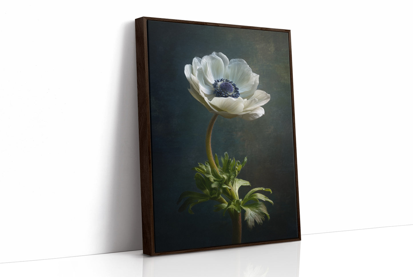 Lone Anemone Against Dark Depths