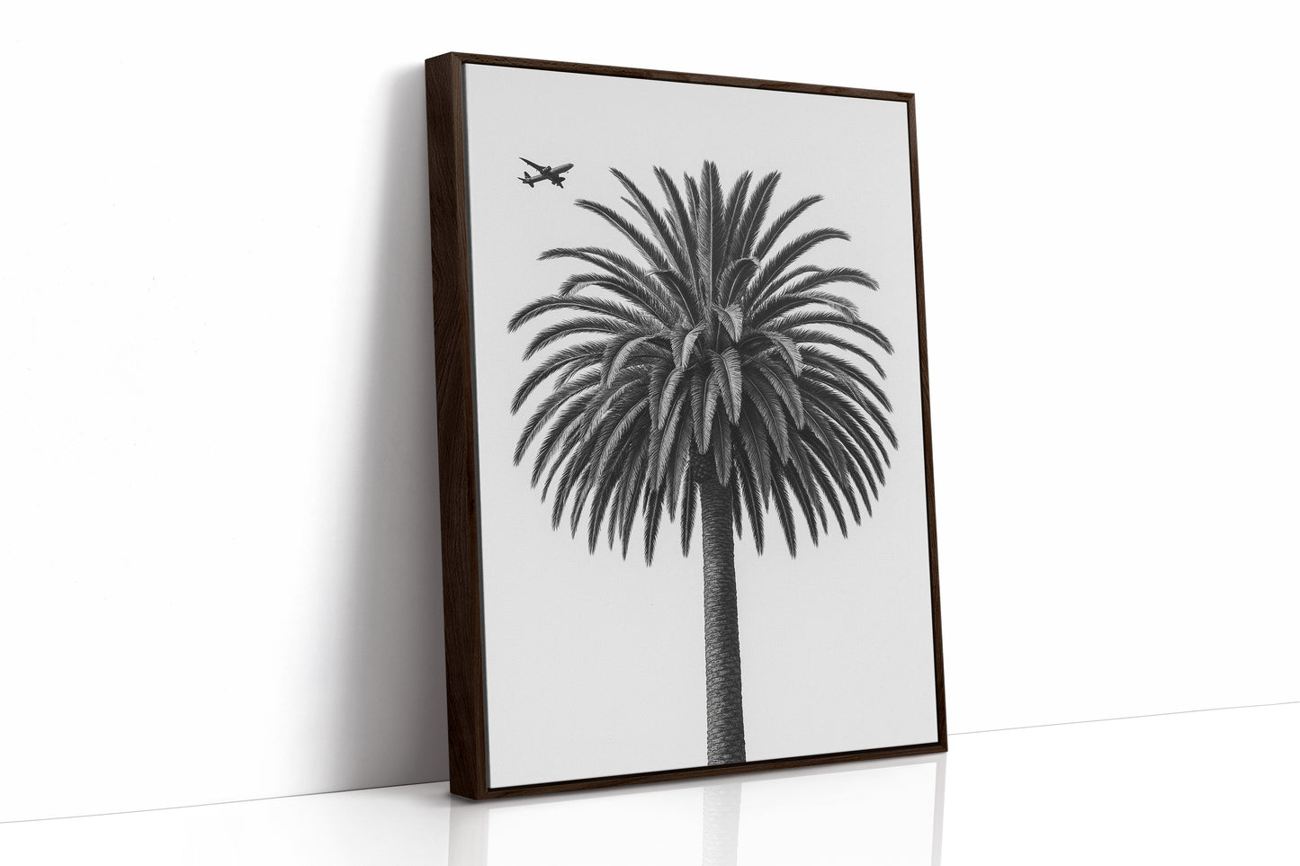 Palm Crown and Passing Plane