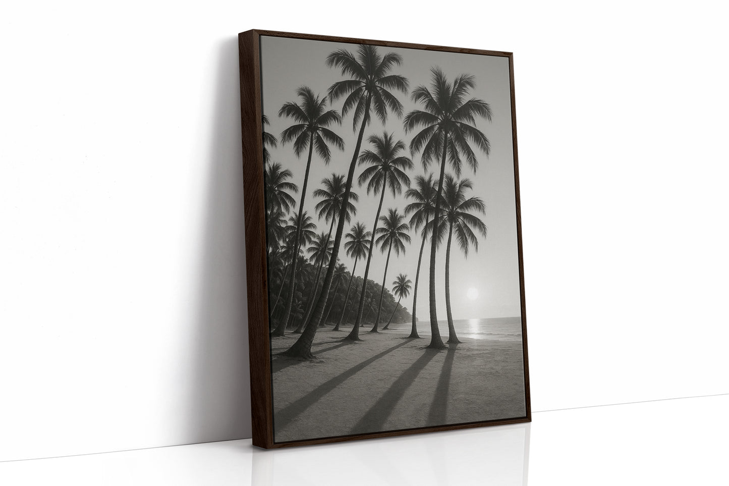 Palm Shadows at Sunrise