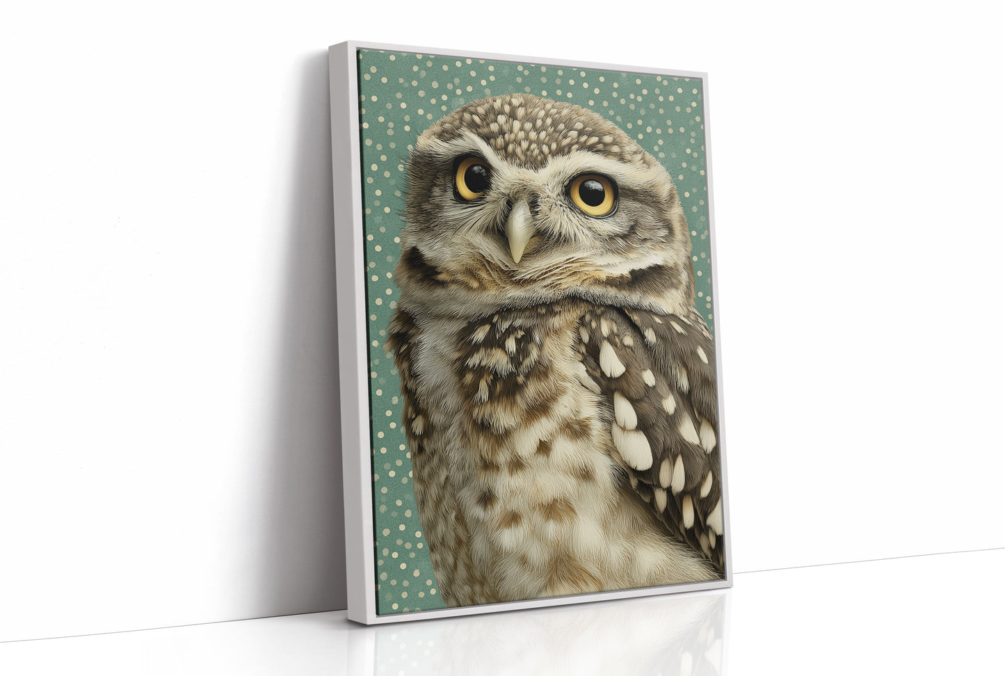 Wide-Eyed Little Owl
