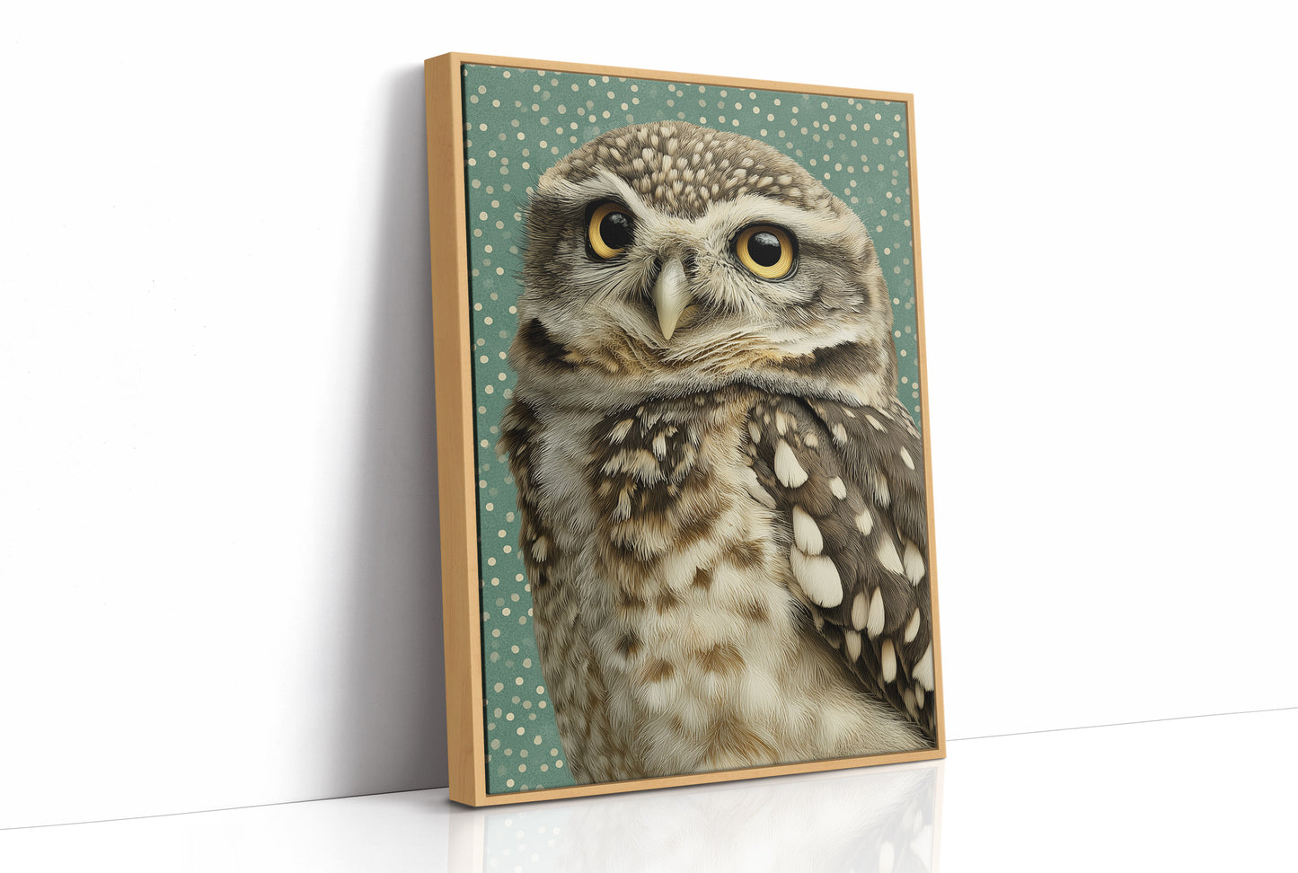 Wide-Eyed Little Owl