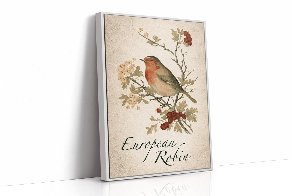 Robin the Hawthorn Blind