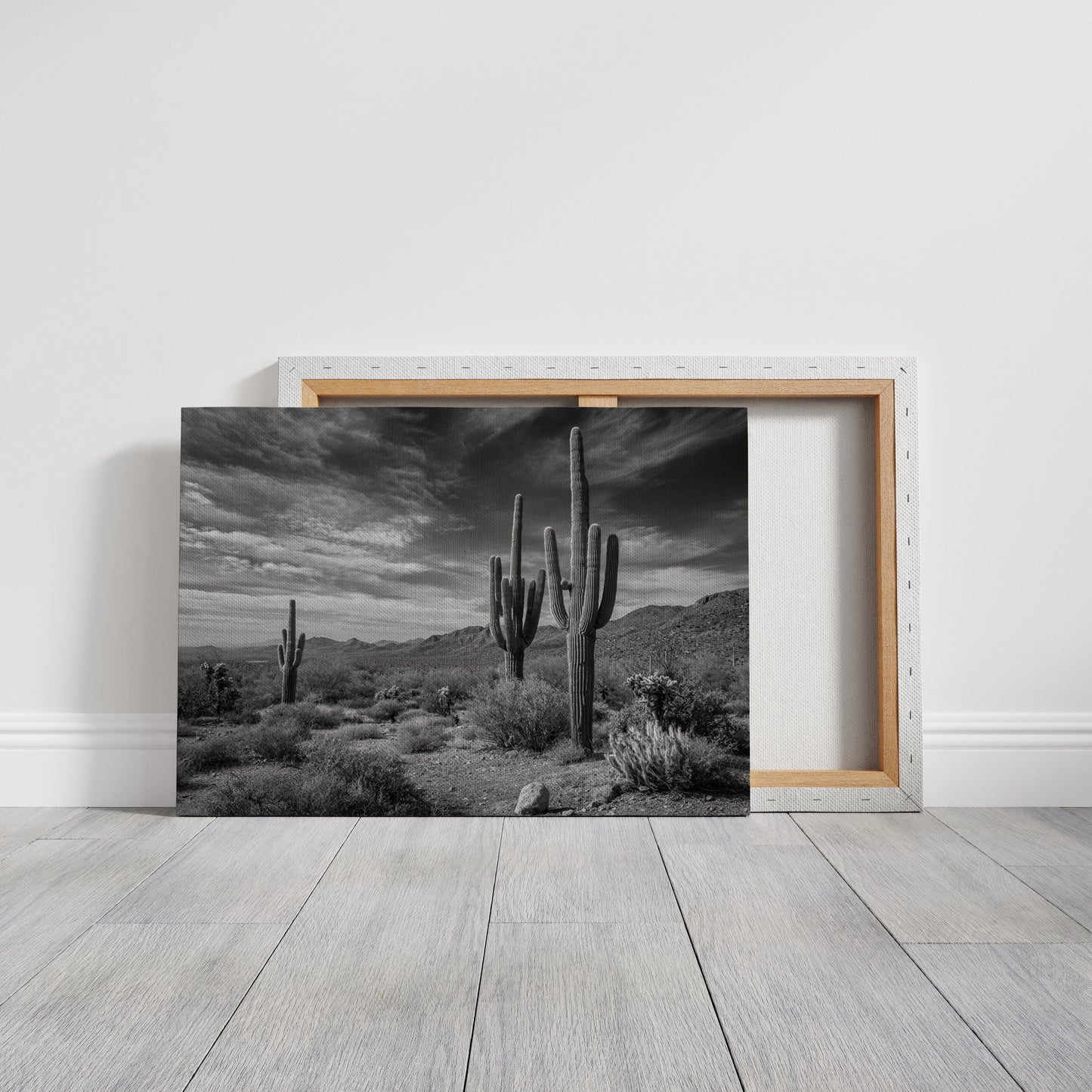 Tall Tales From Sonoran Skies