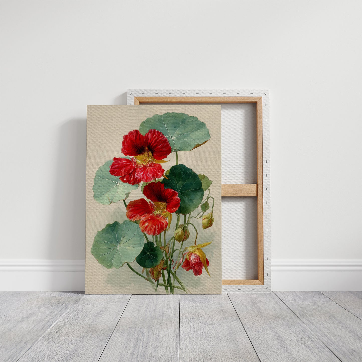 The Nasturtium Never Apologises