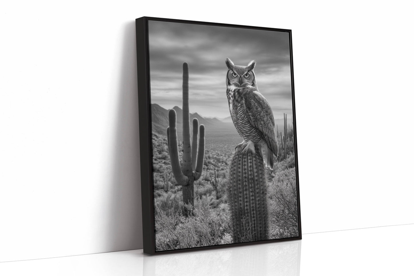 Night Watch Over Saguaro Plains
