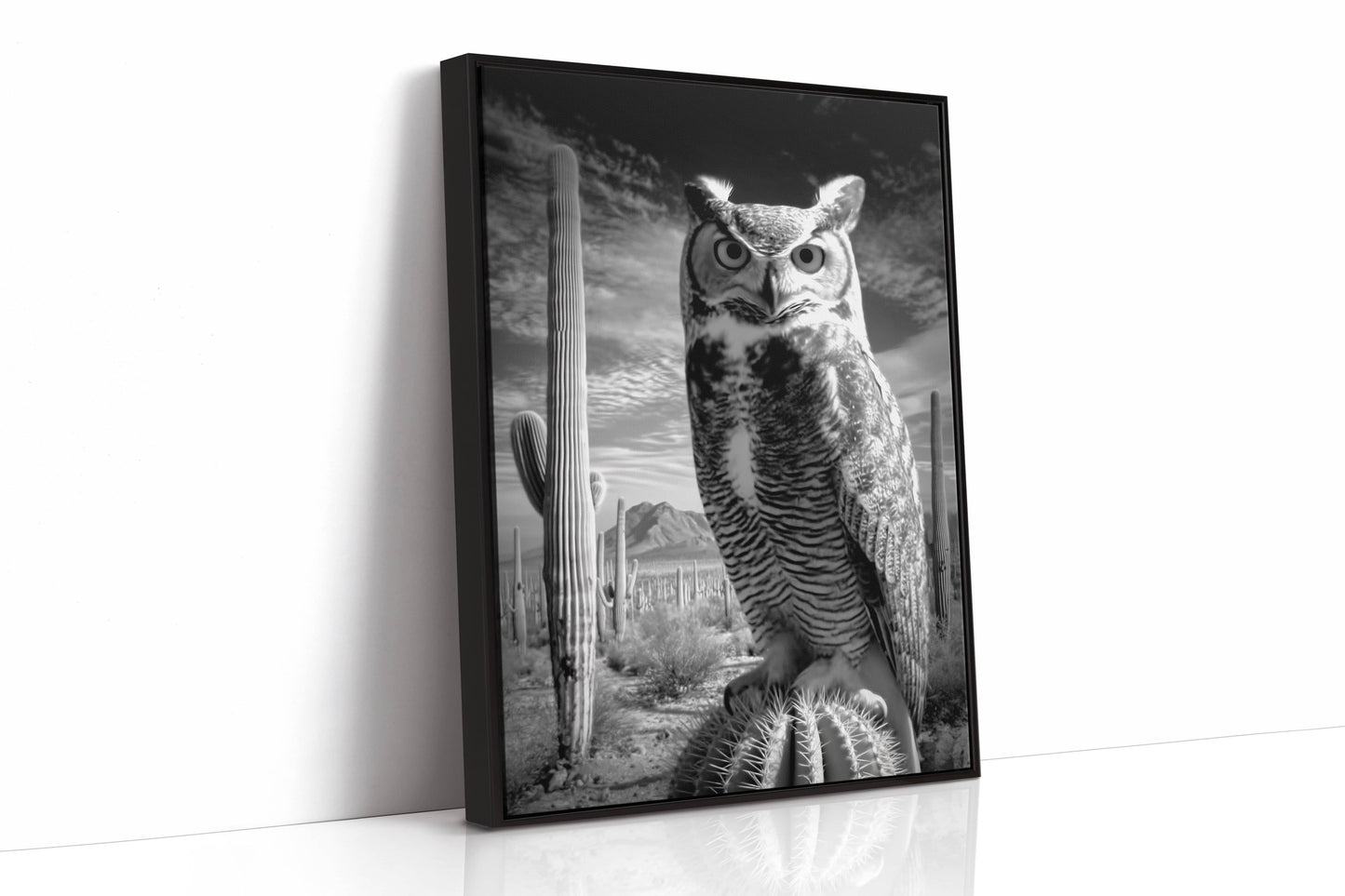 Saguaro Nights Watch The Owl