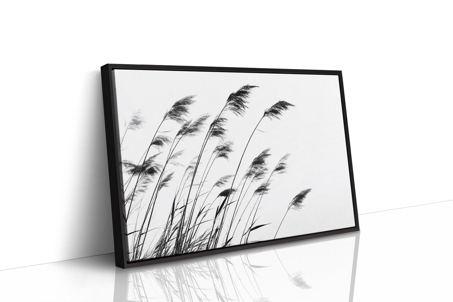 Swaying Secrets of the Marsh