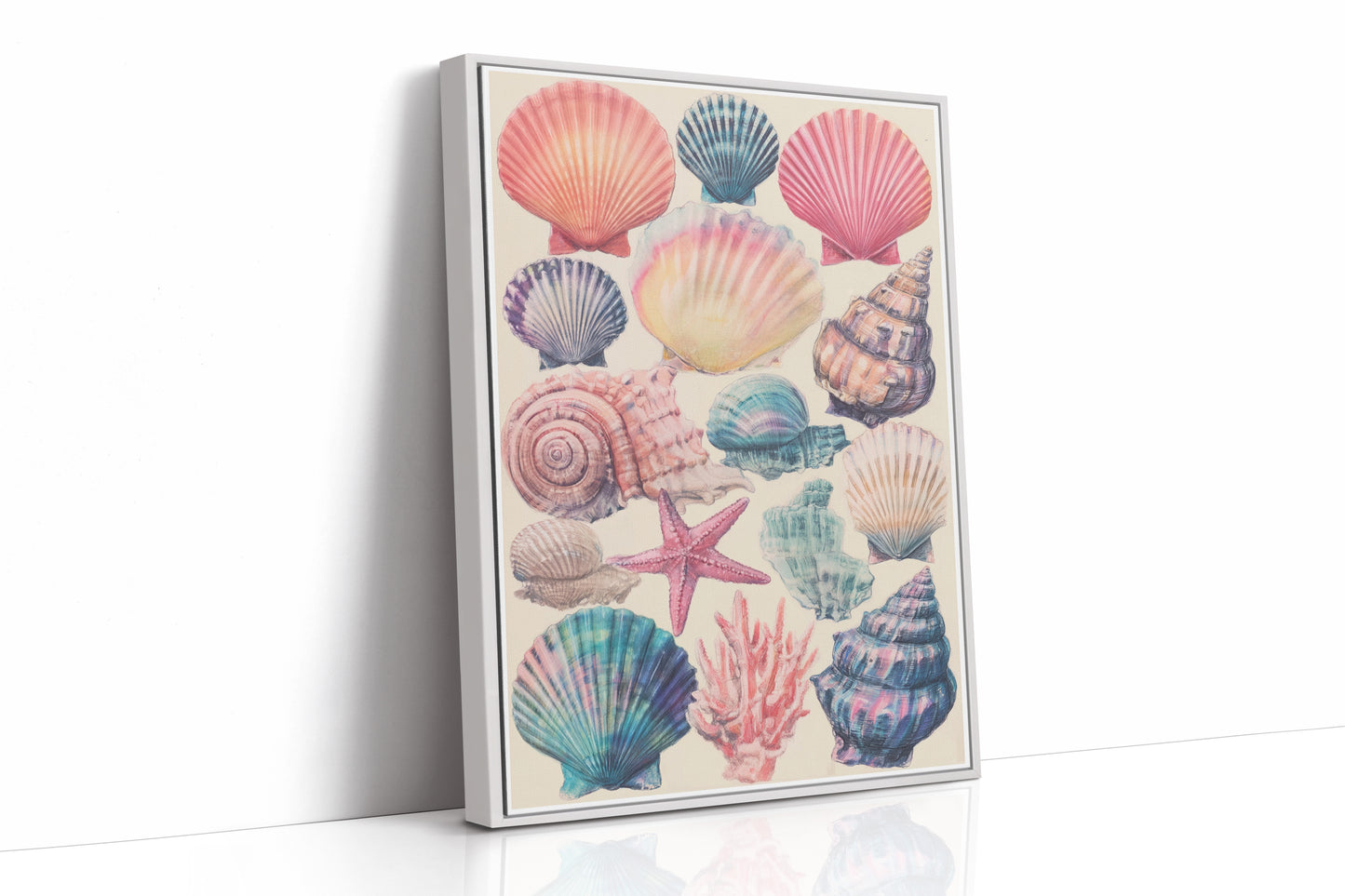 Treasures From Tidal Shores