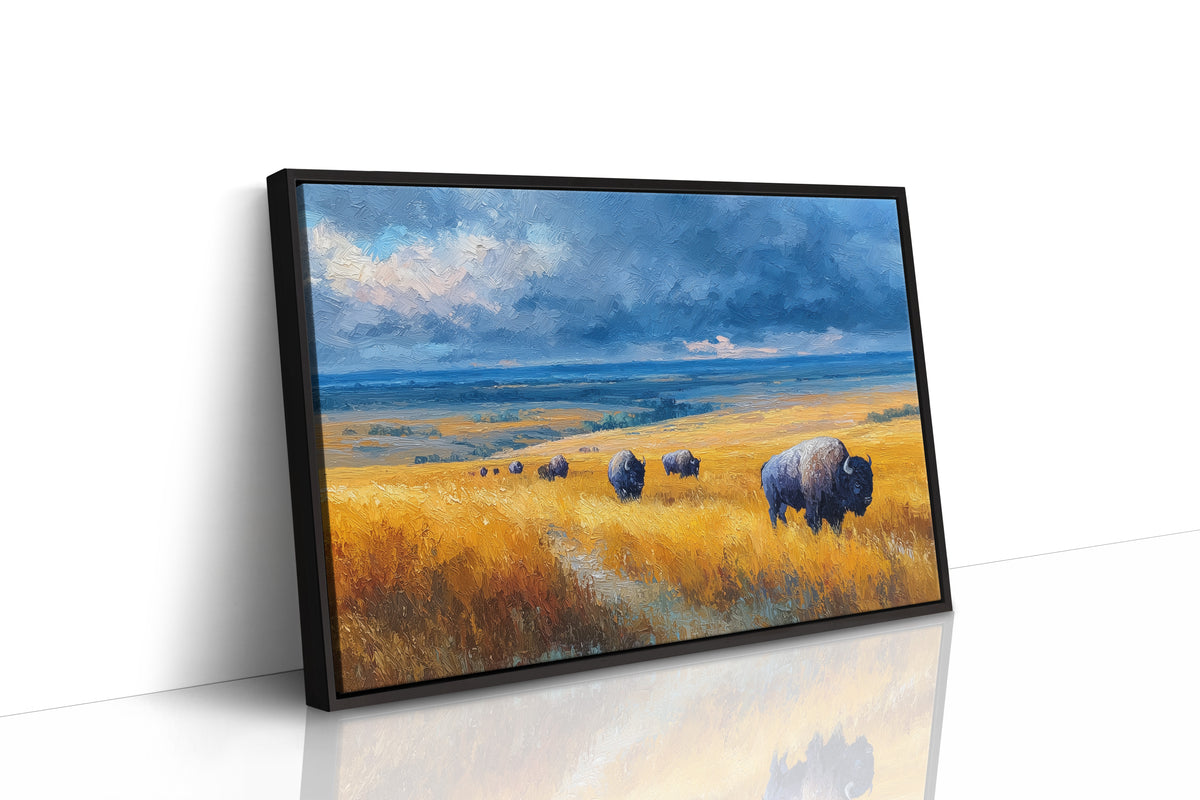 Storm Coming, Bison Not Bothered