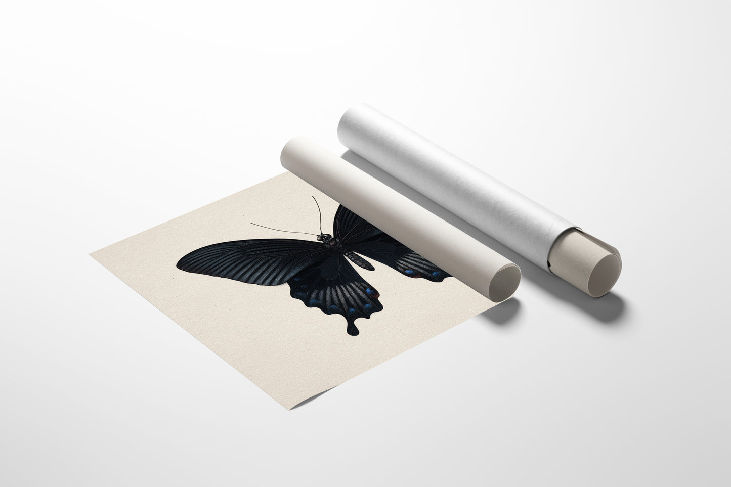 Midnight Sails On Velvet Wings