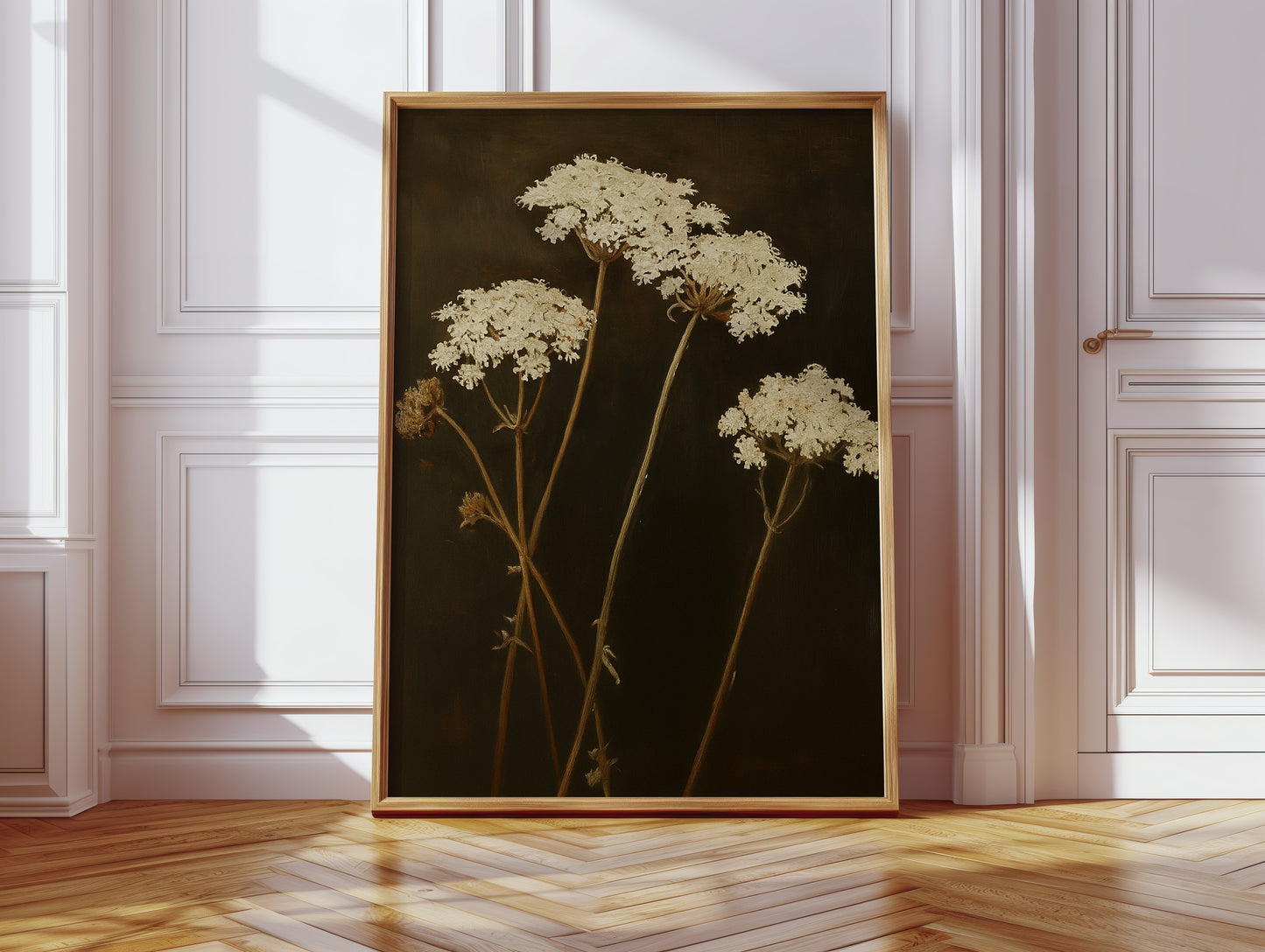 Queen Annes Lace in Late Autumn Light