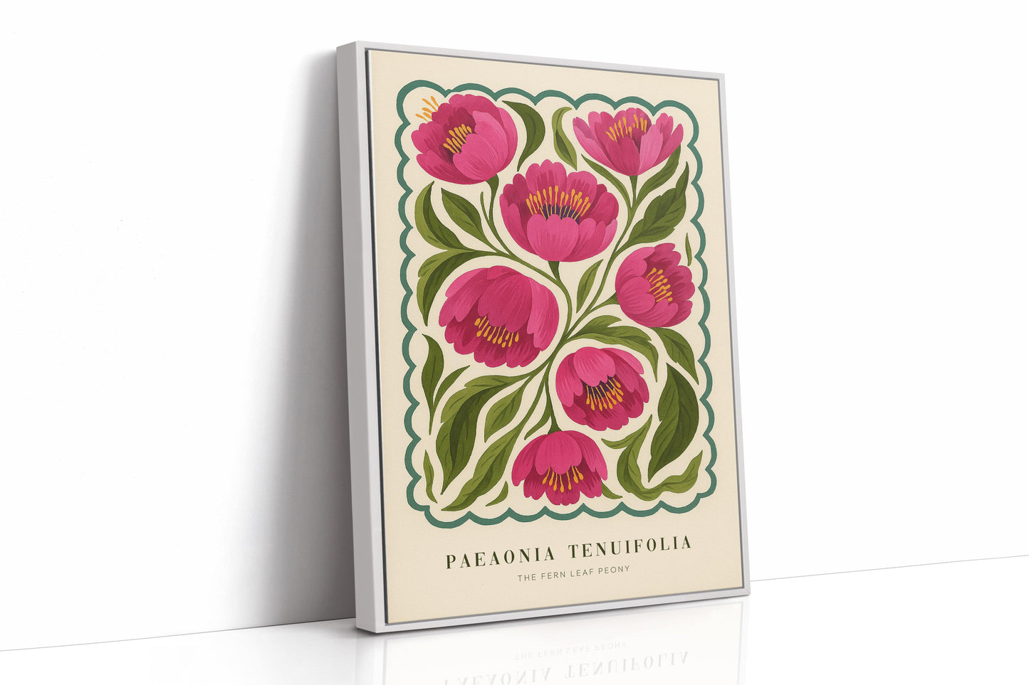 Peony Study No. 5 – Soft Power in Bloom