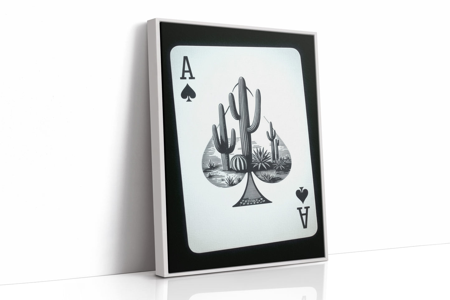 Desert Ace in Black and White