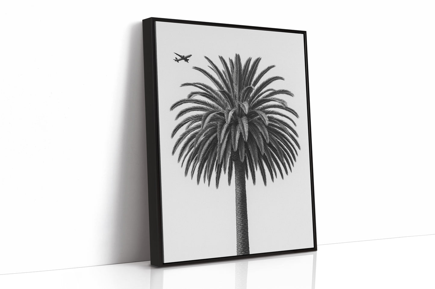 Palm Crown and Passing Plane
