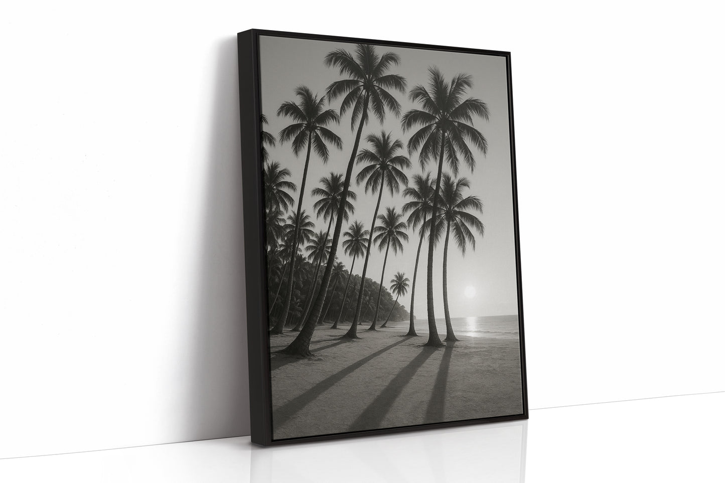 Palm Shadows at Sunrise