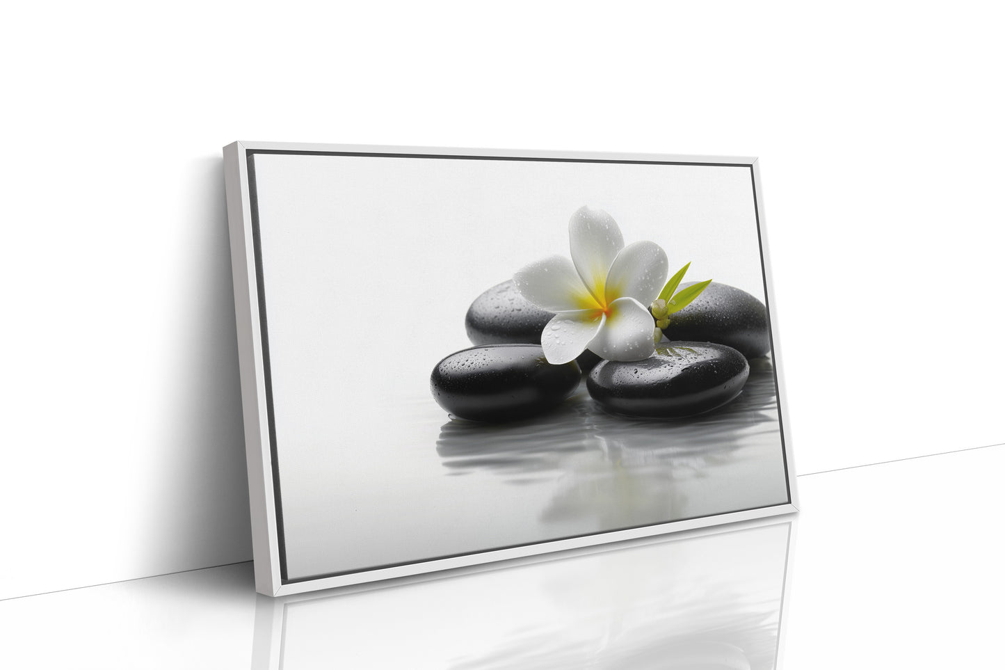 Plumeria Finds Peace On Stones