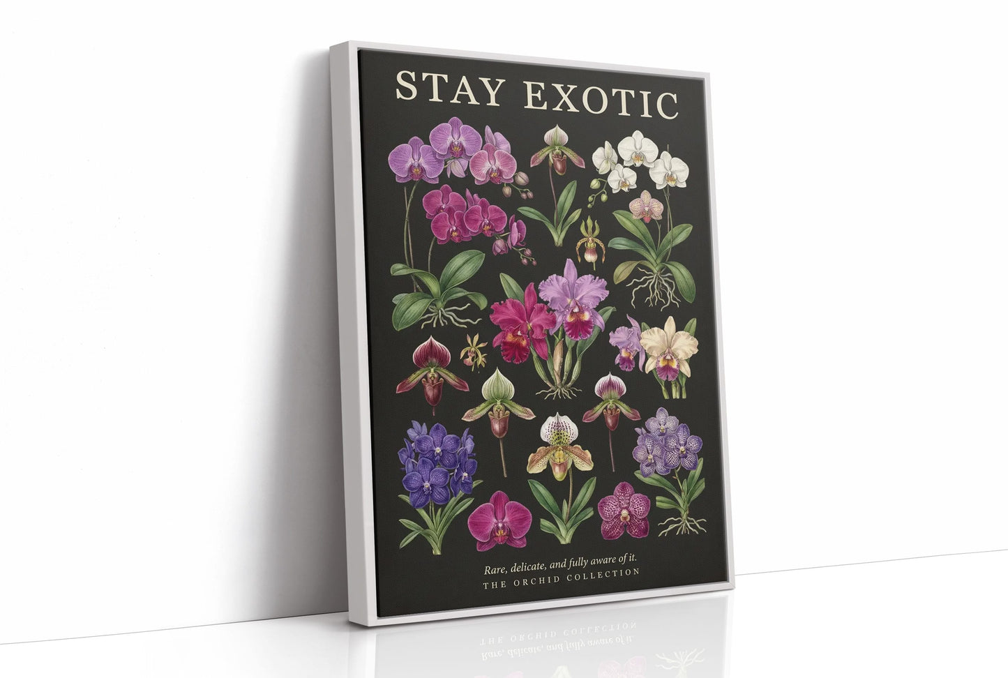 Stay Exotic: Vintage Orchid Chart