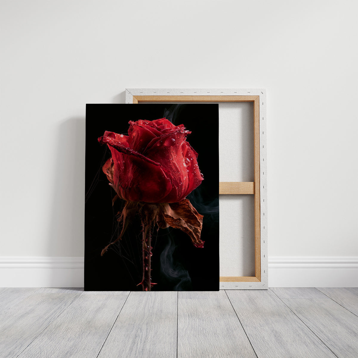 Beautiful Decay, One Red Rose