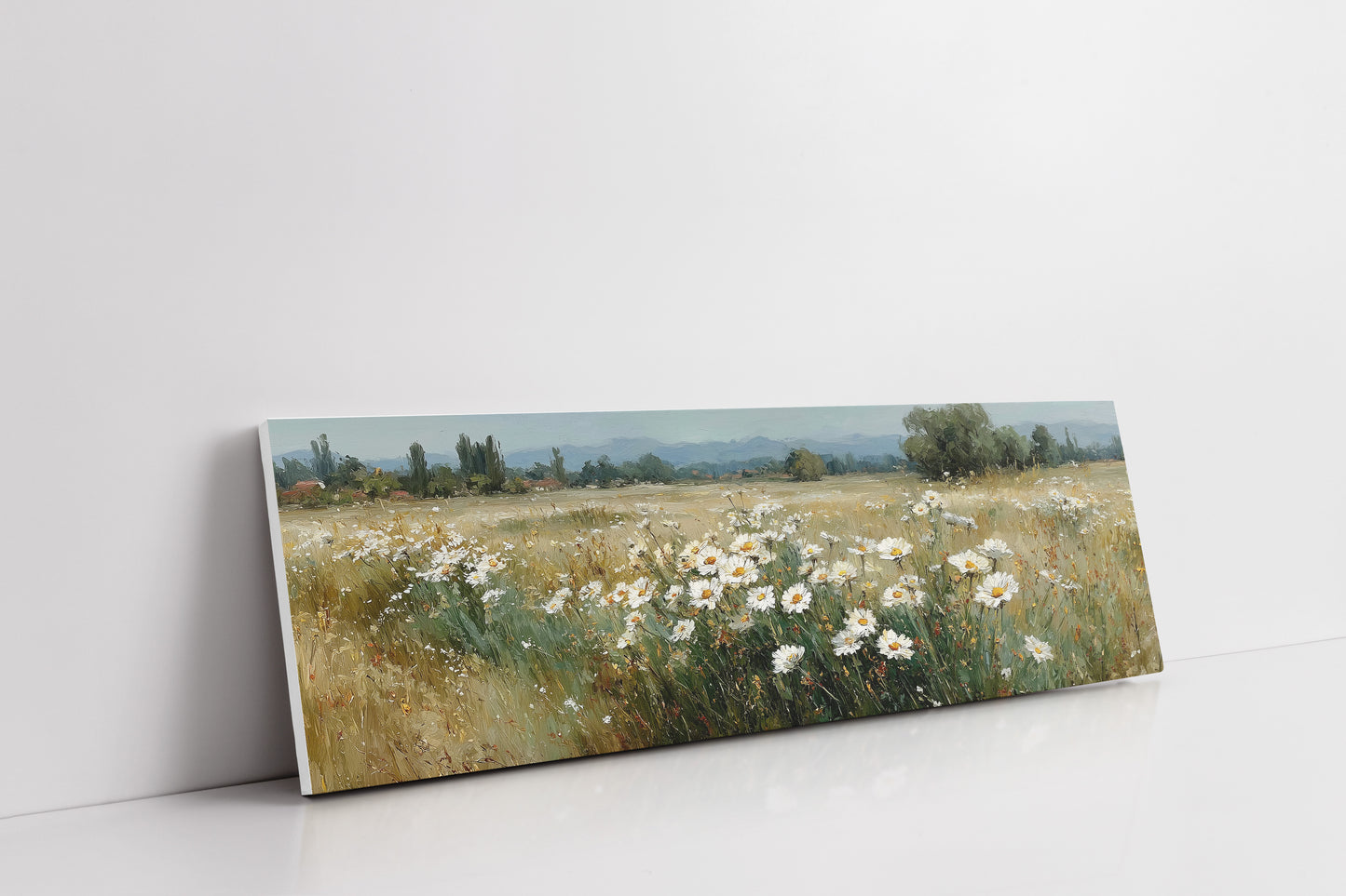Wild Daisies Across Golden Meadow