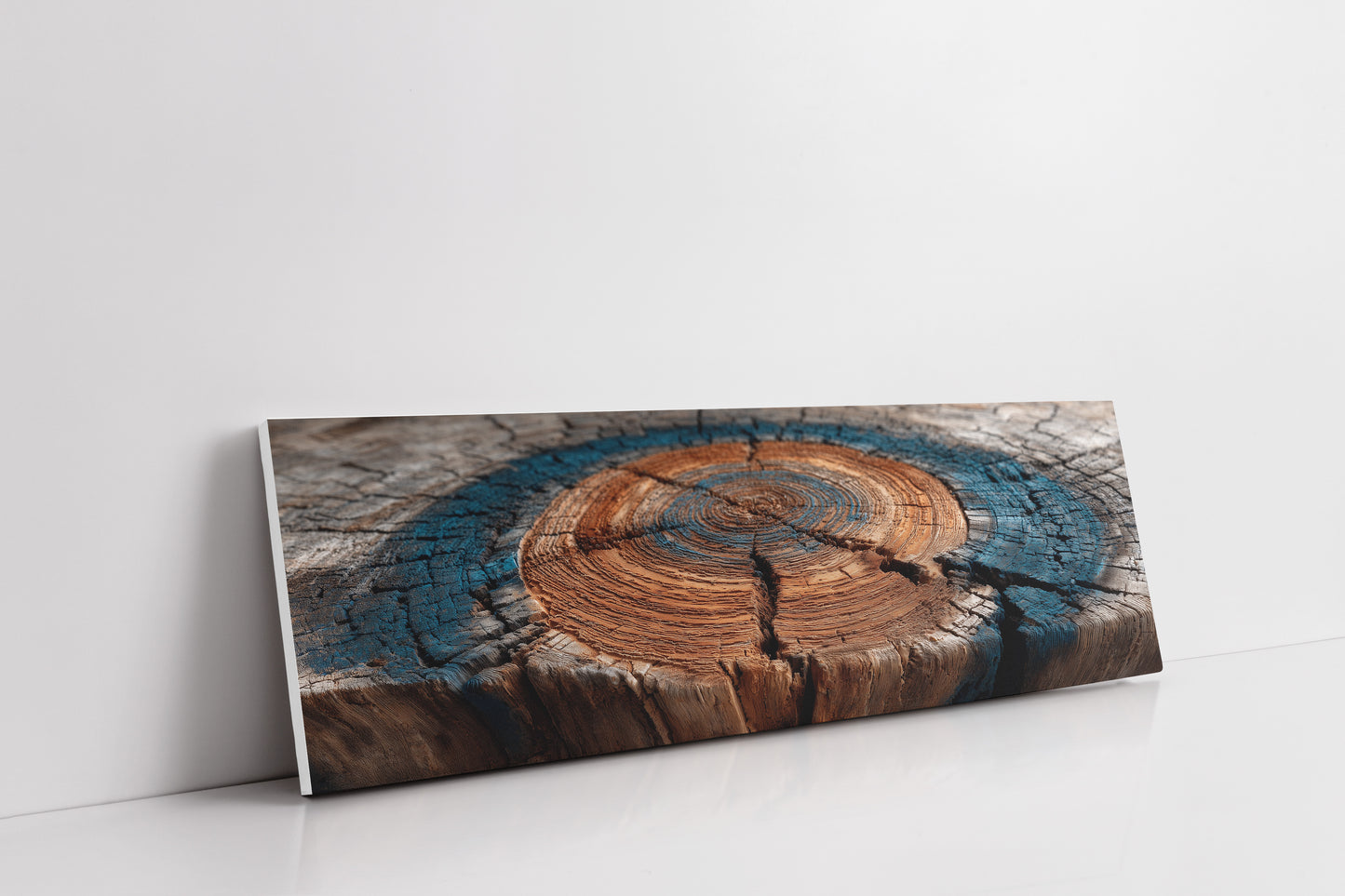 Ancient Tree Rings of Time