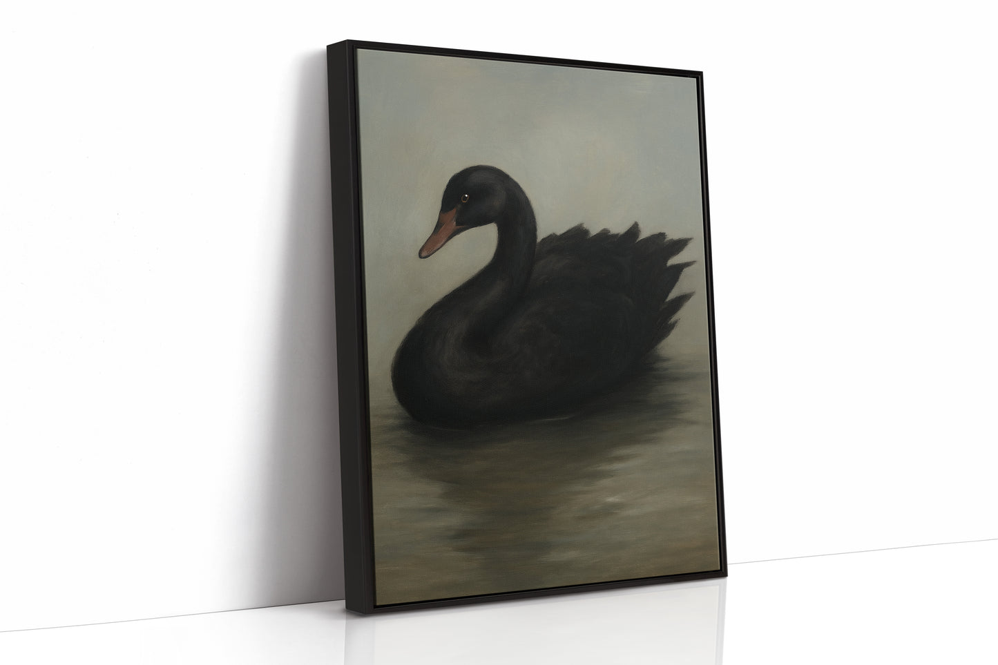 Black Swan on Still Water