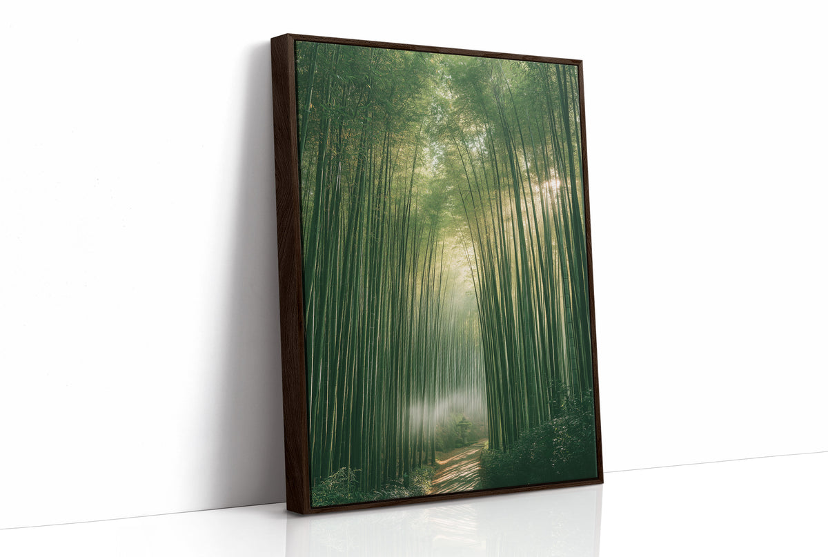 Misty Bamboo Forest Pathway