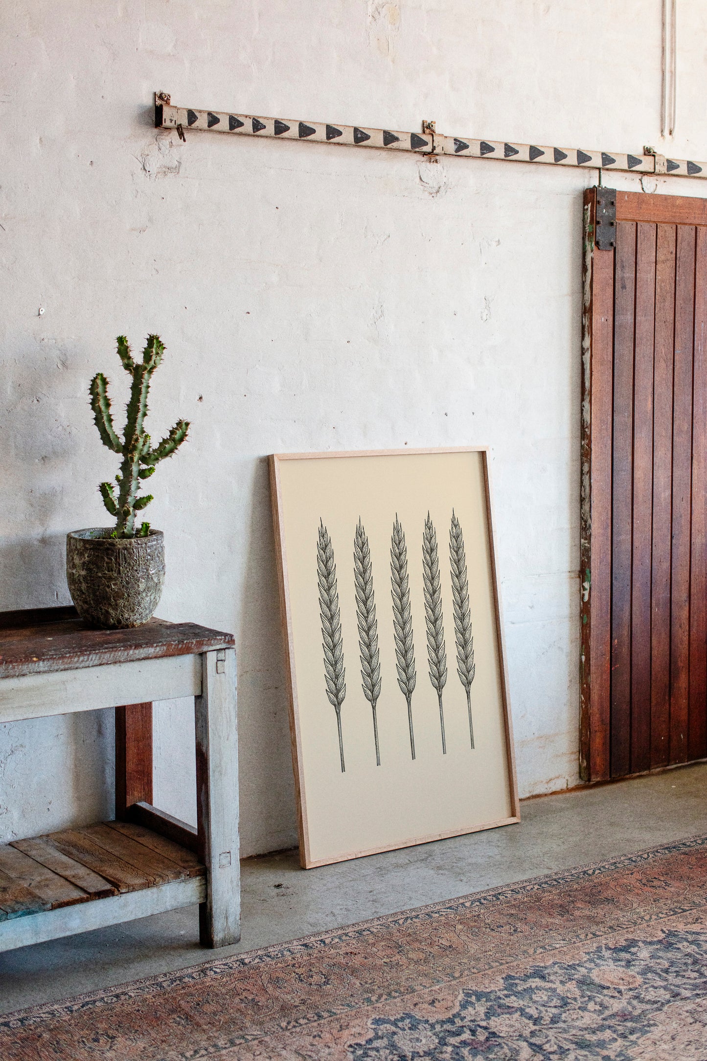 Five Loaves Botanical Wheat Illustration