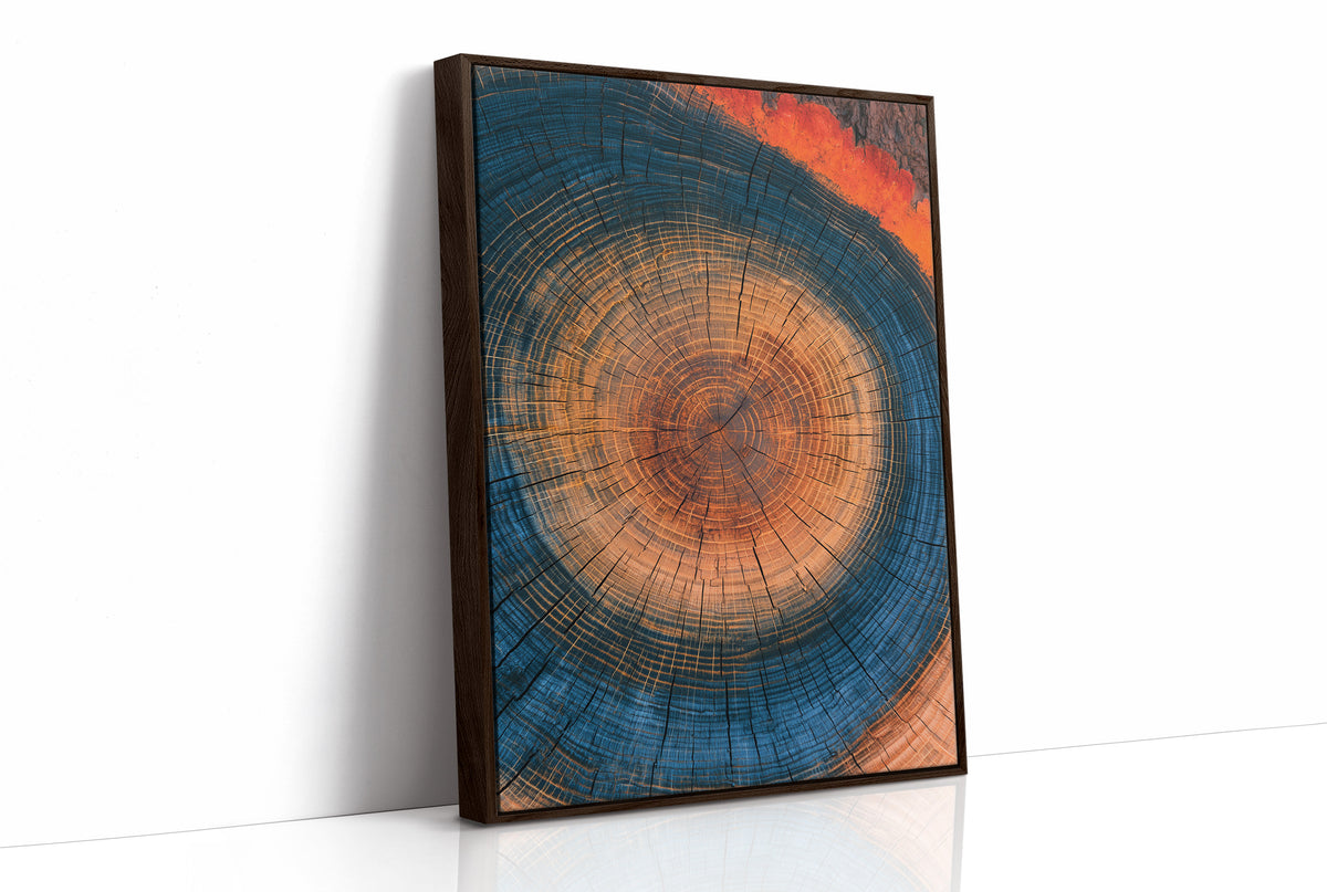 Cosmic Tree Ring Cross Section